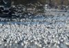 Jak sprawdzić wysokość działki?