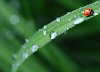 Jaka pościel jest miła w dotyku?