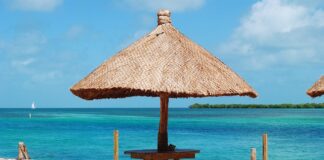 Czy uszczelniacz do chłodnic uszczelni wyciek wody do silnika?