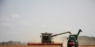 Ile pali kombajn New Holland?