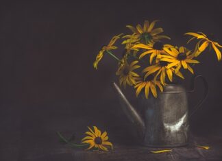 Jaka pompa do podlewania ogrodu ze zbiornika?