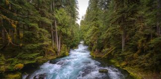 Jak otworzyć centralny zamek przy rozładowanym akumulatorze?