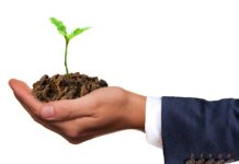 Jak wyczyścić dno basenu domowymi sposobami? Jak wyczyścić dno basenu domowymi sposobami?