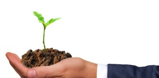 Jak wyczyścić dno basenu domowymi sposobami?