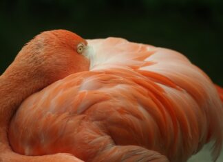 Czy można odłączyć EGR?