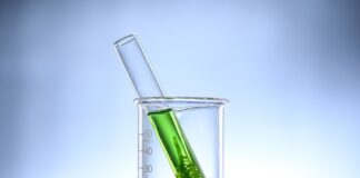 Jak pozbyć się glonów z basenu domowym sposobem?