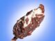 Co to za firma Magnum?
