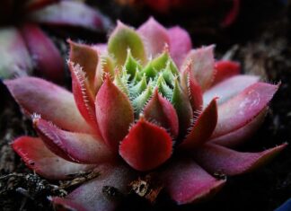 Jaki amperaż do grubości blachy? Jaki amperaż do grubości blachy?