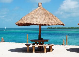 Ile wlać uszczelniacza do chłodnicy?