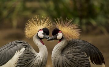 Co ile się pierze pościel?
