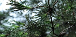 Jak otworzyć bagażnik Opel Mokka?