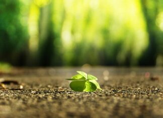 Jak znaleźć miejsce wycieku płynu chłodniczego?