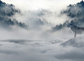 Jak sprawdzić czy płyn w chłodnicy jest zimowy? Jak sprawdzić czy płyn w chłodnicy jest zimowy?