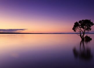 Ile trzeba zostawić wody w basenie na zimę?