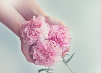 Jaki migomat do gospodarstwa rolnego? Jaki migomat do gospodarstwa rolnego?