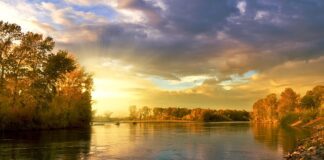 Ile Ciężarków na koło?