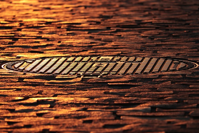 Jaki właz do szamba? Jaki właz do szamba?