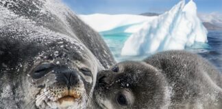 Ile kosztuje uszczelnienie klimy?